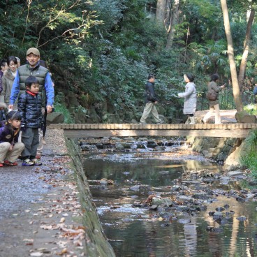 Vallée Todoroki (Tokyo), sentier pédestre au bord de l'eau 6