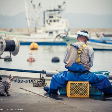 nekoland-issekinicho
