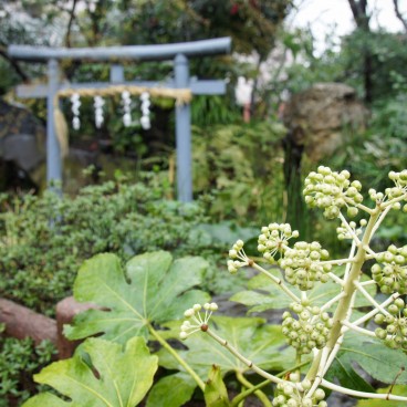 Tokyo, Atago-jinja 4