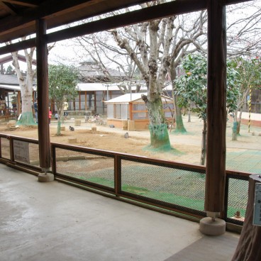 Grand Bouddha Ushiku Daibutsu à Ushiku (Ibaraki), Ferme animalière