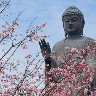 Grand Bouddha Ushiku Daibutsu à Ushiku (Ibaraki) au printemps 2