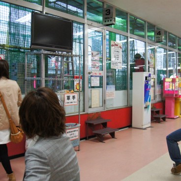 baseball-batting-center-tokyo-1