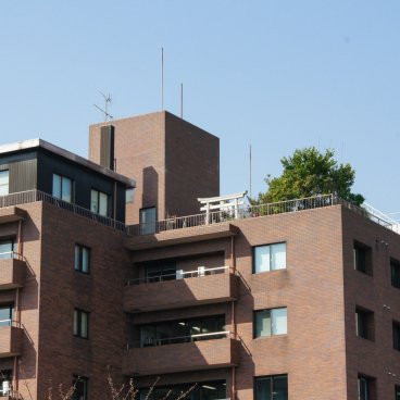 Chidorigafuchi à Tokyo, portail shinto torii au sommet d'un immeuble