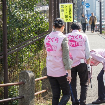 Chidorigafuchi (Tokyo), équipe de nettoyage du parc en période de sakura