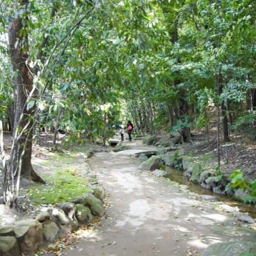 Heian-jingu (Kyoto), sentier arboré dans le jardin du sanctuaire