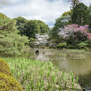 Heian-jingu (Kyoto), plan d'eau dans le jardin du sanctuaire