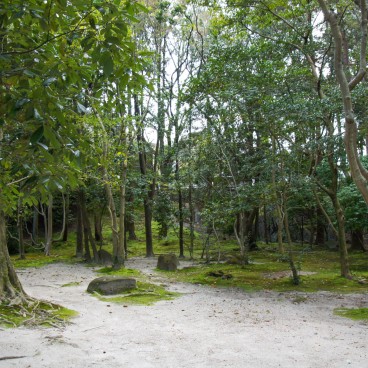 Isui-en (Nara), végétation 3