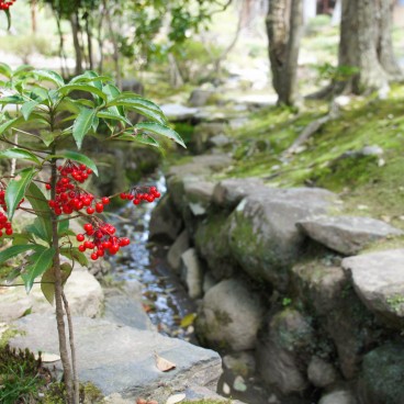 Isui-en (Nara), Végétation