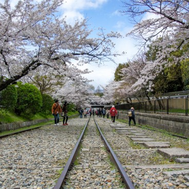 Keage Incline (Kyoto), voies de chemin de fer et cerisiers en fleurs au printemps 5