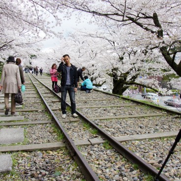 Keage Incline (Kyoto), visiteurs pendant la floraison des Sakura