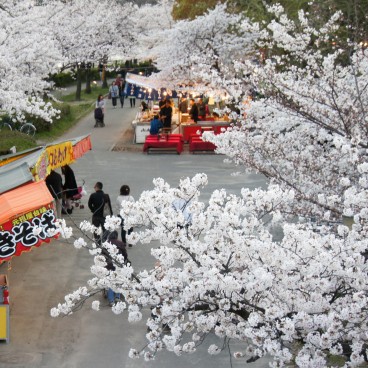 Parc Kema Sakuranomiya à Osaka, Stands de street food sous les cerisiers