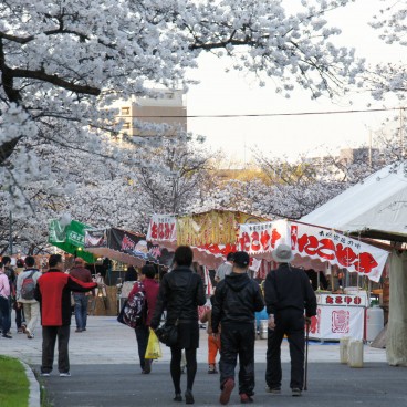 Parc Kema Sakuranomiya à Osaka, Stands de street food sous les cerisiers 2