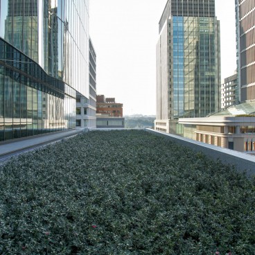 Kitte Marunouchi, Vue sur le toit végétalisé de Kitte Marunouchi