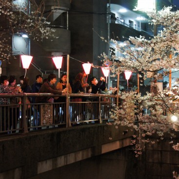  Naka Meguro-gawa à Shibuya (Tokyo), Visiteurs profitant du festival des Sakura et prenant des photos des illuminations 2
