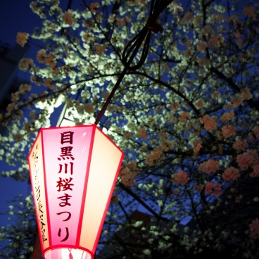  Naka Meguro-gawa à Shibuya (Tokyo), Lanterne du Meguro-gawa Sakura Matsuri
