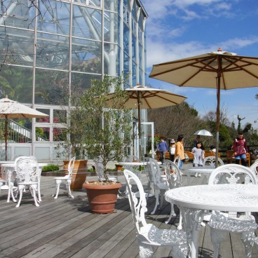 Nunobiki (Kobe), serre du Jardin d'Herbes 3