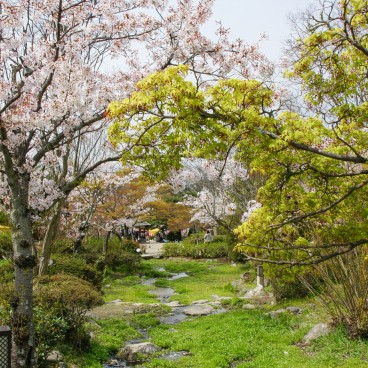 Parc Maruyama (Kyoto), Vue sur le jardin au printemps