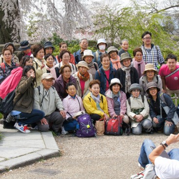 Parc Maruyama (Kyoto), Groupe prenant une photo souvenir au printemps