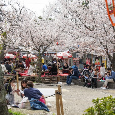 Parc Maruyama (Kyoto), Stands de nourriture au printemps