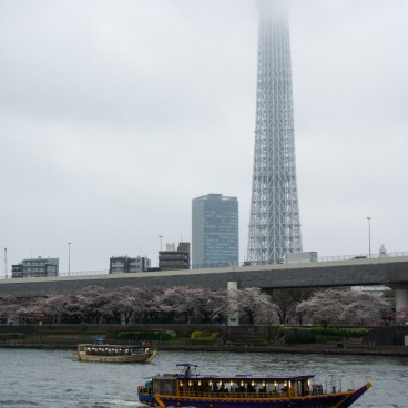 Parc Sumida à Asakusa (Tokyo), Yakatabune et bateaux de croisières sur la rivière Sumida, avec Tokyo SkyTree en arrière-plan