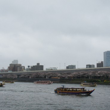 Parc Sumida à Asakusa (Tokyo), Yakatabune et bateaux de croisières sur la rivière Sumida