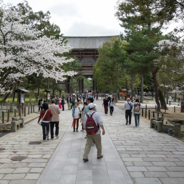 Todai-ji (Nara), porte Nandai-mon au printemps
