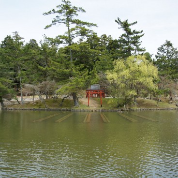 Todai-ji (Nara), plan d'eau et Torii shinto