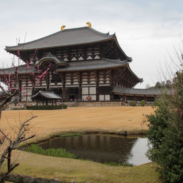 Todai-ji (Nara), pavillon Daibutsu-den à la fin de l'hiver 2