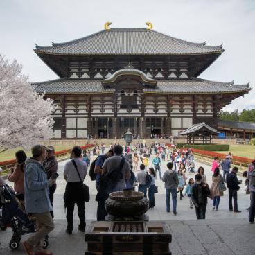 Todai-ji (Nara), pavillon Daibutsu-den au printemps 2