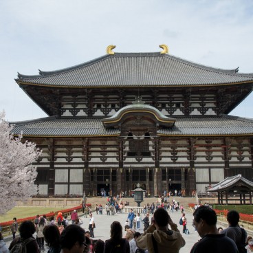 Todai-ji (Nara), pavillon Daibutsu-den au printemps