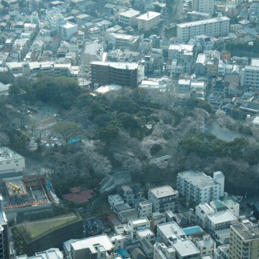 Landmark Tower (Yokohama), vue sur le parc Komon-yama