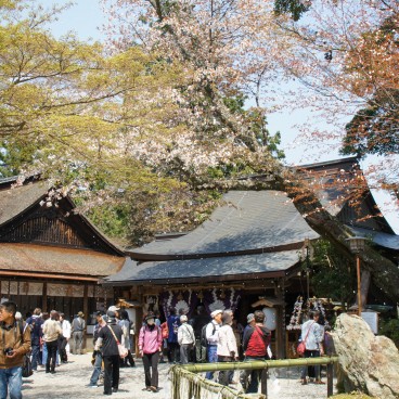 Mont Yoshino, Site religieux dans la montagne au printemps