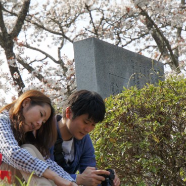 Mont Yoshino, Couple en plein Ohanami sous les cerisiers en fleur au printemps