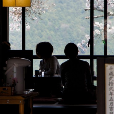 Mont Yoshino, Restaurant avec vue sur les cerisiers en fleur au printemps
