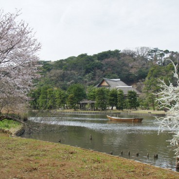 Le plan d'eau du jardin Sankei-en à Yokohama