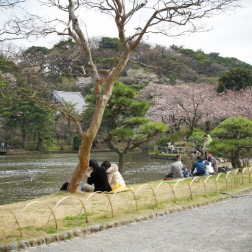 Le plan d'eau du jardin Sankei-en à Yokohama 3