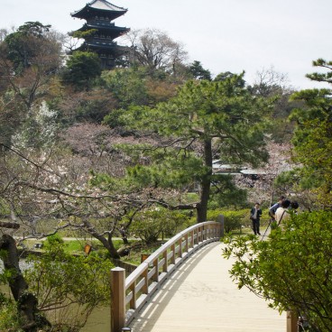 Yokohama, pagode et pont du jardin japonais Sankei-en