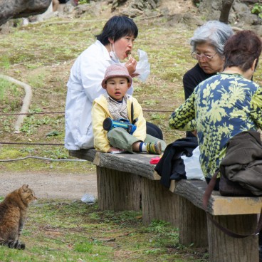 Des visiteurs et un chat au jardin Sankei-en à Yokohama