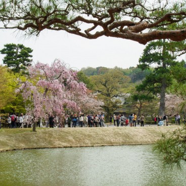 Temple Byodo-in à Uji, Visiteurs dans les jardins du temple au printemps