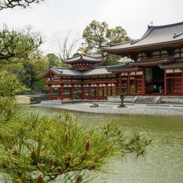Temple Byodo-in à Uji, Pavillon du Phénix et branche de pin