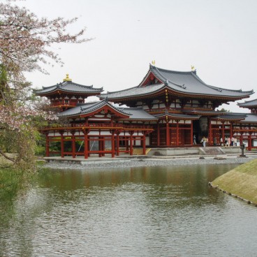 Temple Byodo-in à Uji, Pavillon du Phénix et cerisier