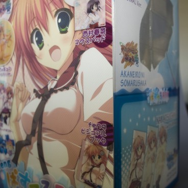 Minato Nagase (Pastel Box)