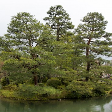 Jardin Kenrokuen à Kanazawa, Ilot aux pins sur l'étang