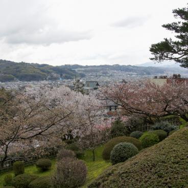 Kanazawa, jardin Kenroku-en au printemps