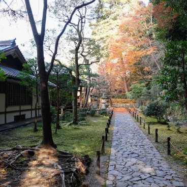 Honen-in (Kyoto), allée du jardin