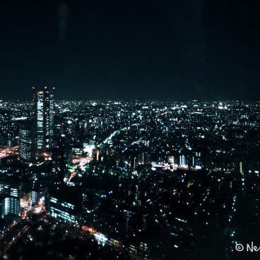 8246233549 Bf8bc46487 O