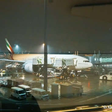 Cabin Emirates Tokyo 14