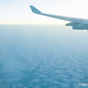 Cabin Emirates Tokyo 6