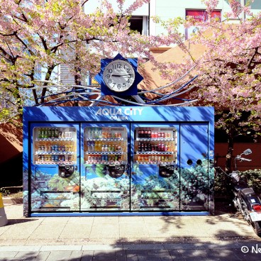 Odaiba (Tokyo), distributeurs de boissons sous les cerisiers en fleurs