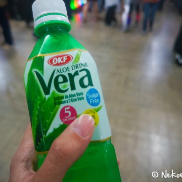 Japan Touch Haru 2014 22